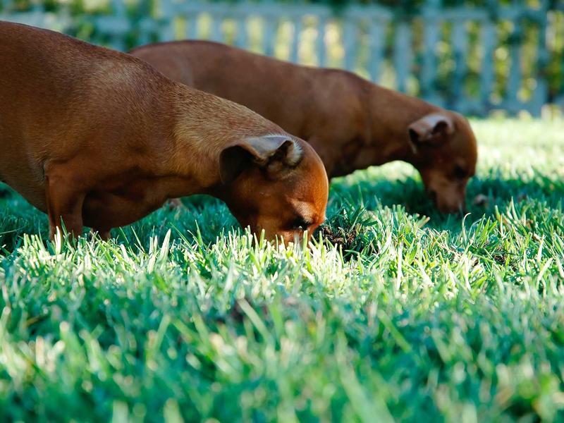 45度人生<br>ujcbtdu.cn 卷又卷不动躺又躺不平